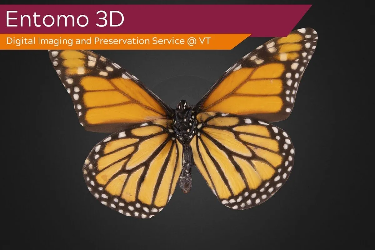 Promotional graphic titled 'Entomo 3D: Digital Imaging and Preservation Service @ VT,' featuring a top-down photograph of a monarch butterfly with wings fully spread, showing its detailed orange, black, and white-spotted wing pattern against a dark gray background.